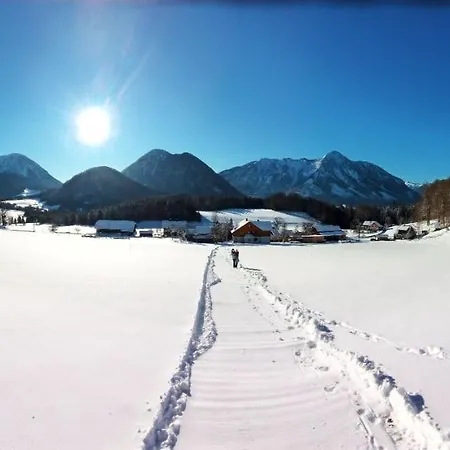 Ferienwohnungen Seraphine Und Theresia Grundlsee Extérieur photo