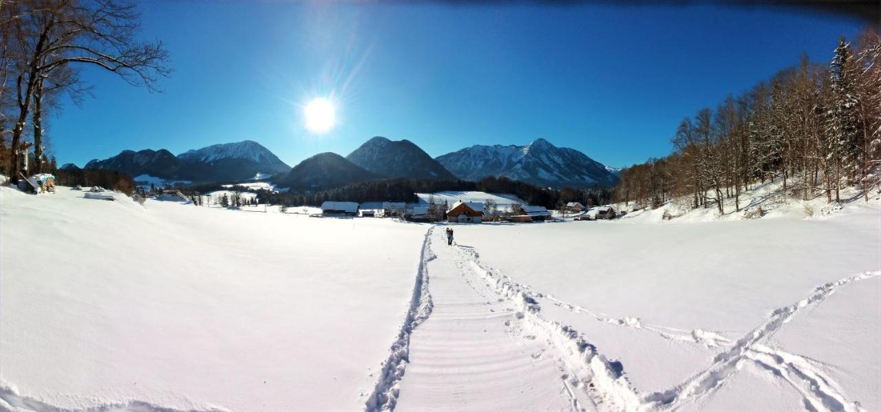 Seraphine Und Theresia Appartement