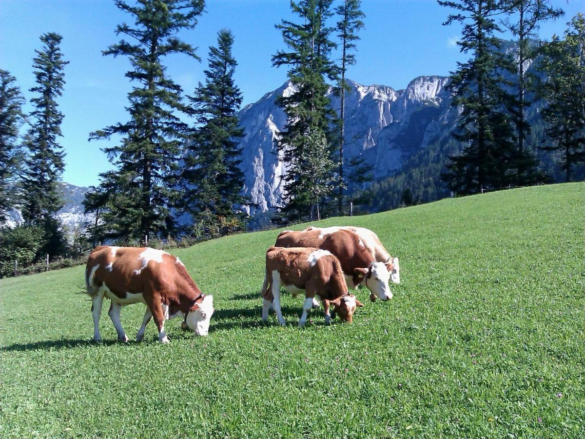 Appartement Seraphine Und Theresia Grundlsee